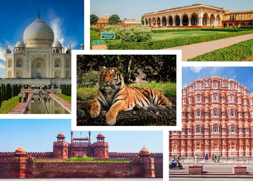 Golden Triangle Tour with Ranthambore
